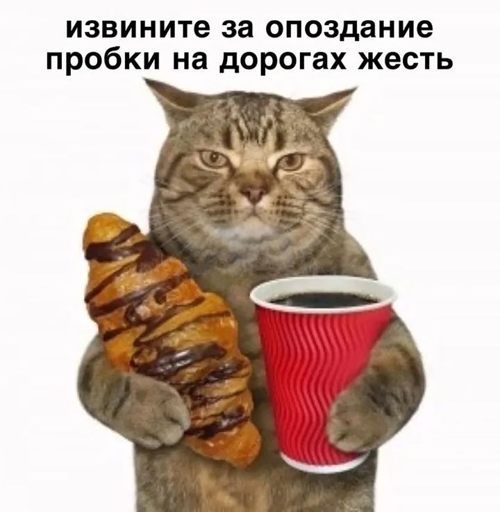 Кот с круассаном и кофе. Подпись: извините за опоздание, пробки на дорогах жесть